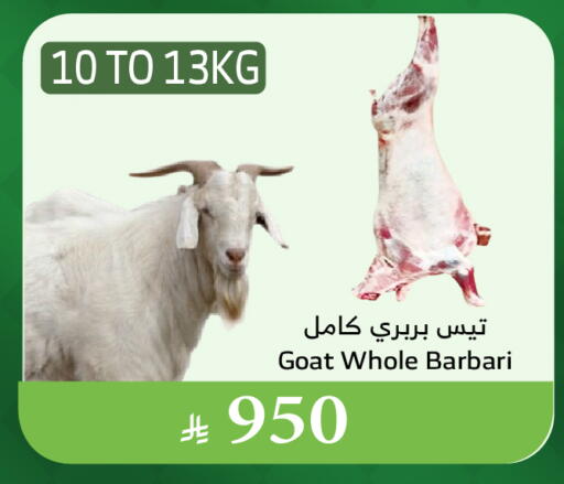 لحم الضأن / الغنم available at الراية in مملكة العربية السعودية, السعودية, سعودية - الطائف