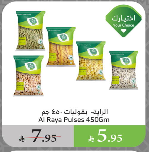 Pulses, Beans & Grains in Al Raya, Saudi Arabia Offers - Saudi Arabia Endive available at Al Raya in KSA, Saudi Arabia, Saudi - Ta'if