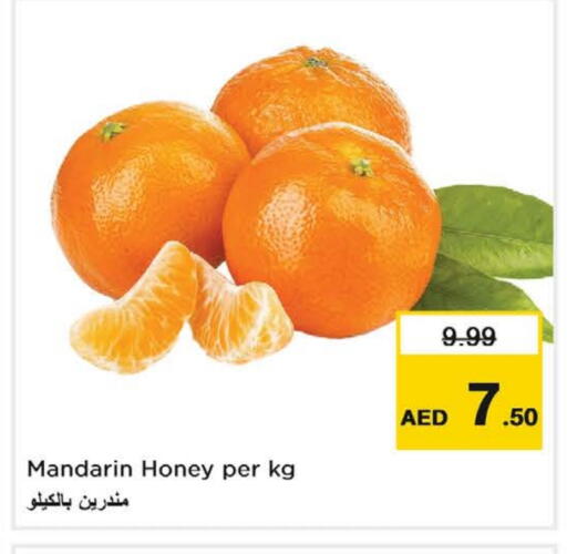برتقال available at نستو هايبرماركت in الإمارات العربية المتحدة , الامارات - ٱلْفُجَيْرَة‎