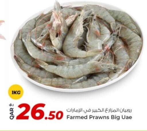 available at Rawabi Hypermarket in Qatar - Umm Salal