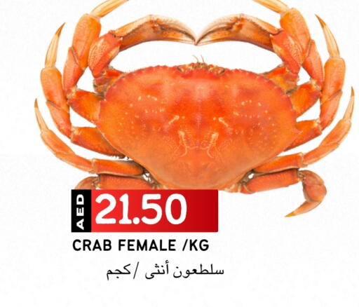 available at سيليكت ماركت in الإمارات العربية المتحدة , الامارات - أبو ظبي