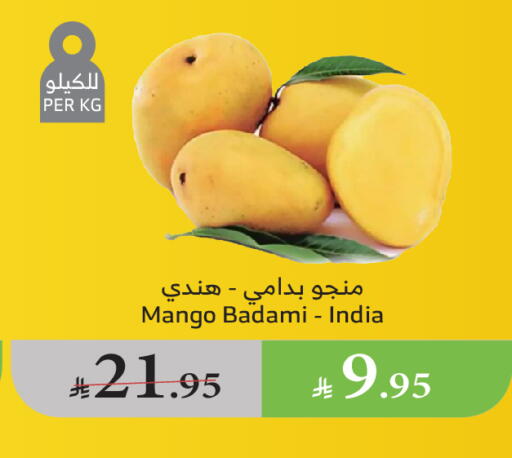 Mangoes from India available at Al Raya in KSA, Saudi Arabia, Saudi - Medina