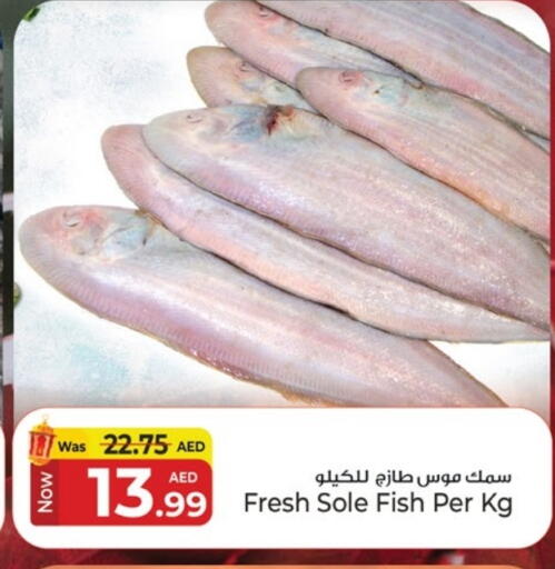 available at Kenz Hypermarket in UAE - Sharjah / Ajman
