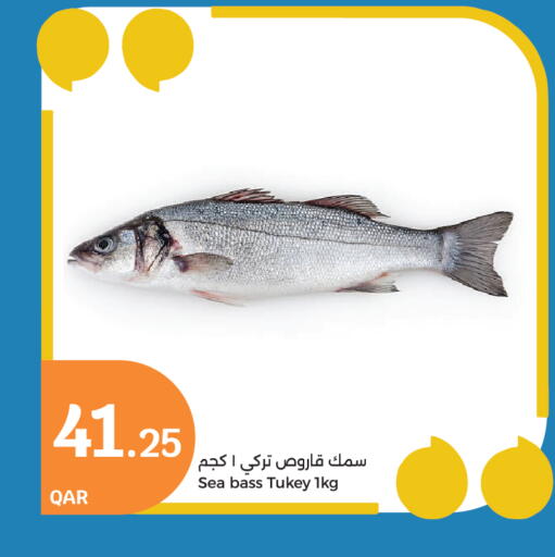 available at City Hypermarket in Qatar - Doha