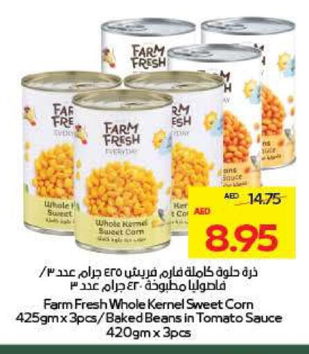 Tomato available at ADCOOP in UAE - Al Ain