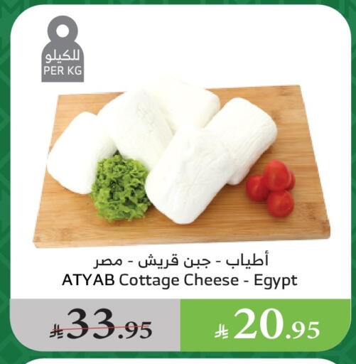 جبنة القريش available at الراية in مملكة العربية السعودية, السعودية, سعودية - القنفذة