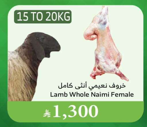 Meat - Fresh & Chilled in Al Raya, Saudi Arabia Offers - Saudi Arabia Mutton / Lamb available at Al Raya in KSA, Saudi Arabia, Saudi - Abha