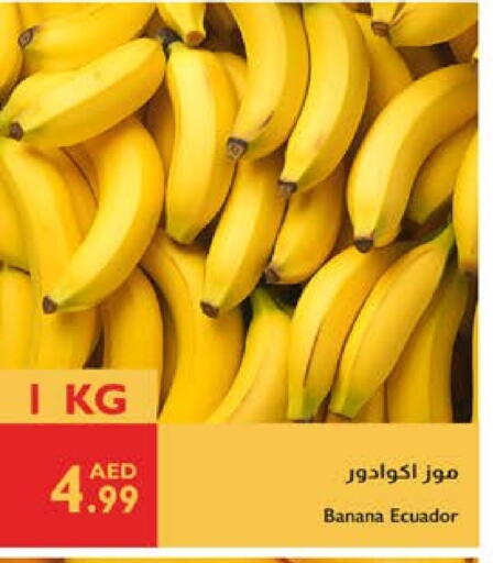 موز from Ecuador available at إسطنبول سوبرماركت in الإمارات العربية المتحدة , الامارات - ٱلْعَيْن‎