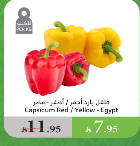 الخضروات الطازجة in الراية, المملكة العربية السعودية Offers - المملكة العربية السعودية فلفل / فليفلة from Egypt available at الراية in مملكة العربية السعودية, السعودية, سعودية - بيشة