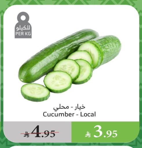 الخضروات الطازجة in الراية, المملكة العربية السعودية Offers - المملكة العربية السعودية خيار available at الراية in مملكة العربية السعودية, السعودية, سعودية - بيشة