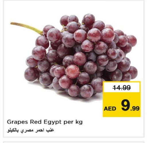 عنب from Egypt available at نستو هايبرماركت in الإمارات العربية المتحدة , الامارات - ٱلْفُجَيْرَة‎