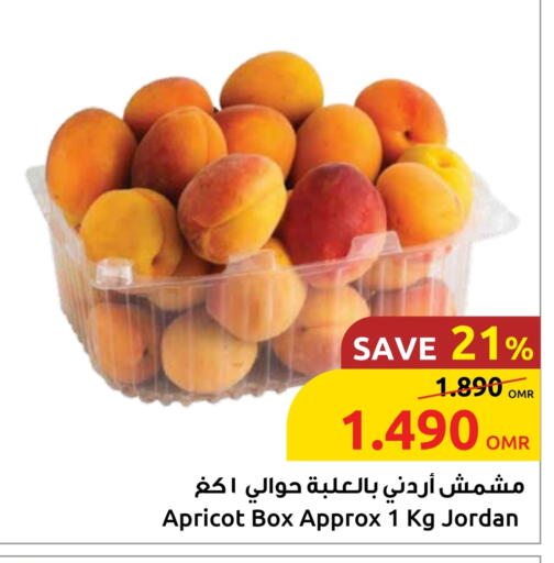 Apricot from Jordan available at مركز سلطان in عُمان - صُحار‎