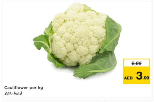 Cauliflower available at Nesto Hypermarket in UAE - Dubai
