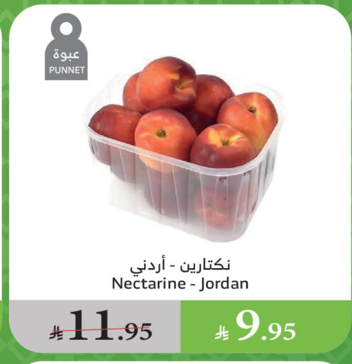 Nectarine from Jordan available at Al Raya in KSA, Saudi Arabia, Saudi - Bishah