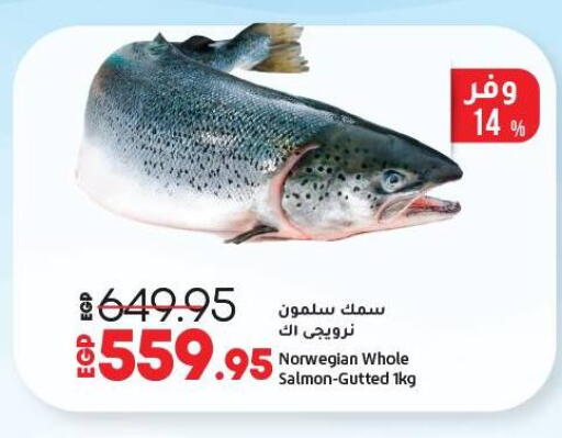 available at لولو هايبرماركت in Egypt - القاهرة