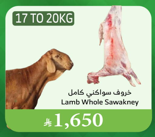 Mutton / Lamb available at Al Raya in KSA, Saudi Arabia, Saudi - Medina