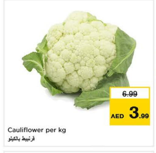 Cauliflower available at نستو هايبرماركت in الإمارات العربية المتحدة , الامارات - الشارقة / عجمان