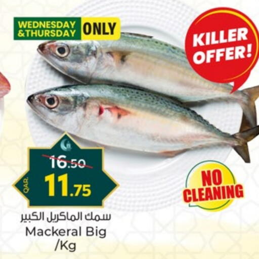 available at Paris Hypermarket in Qatar - Al-Shahaniya