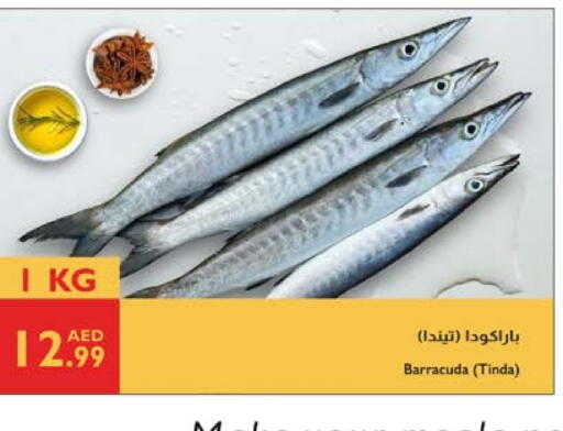 available at Istanbul Supermarket in UAE - Al Ain