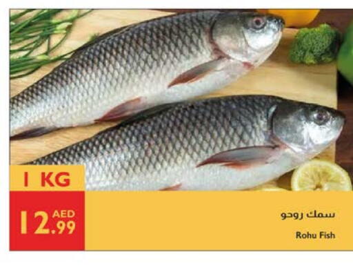 available at Istanbul Supermarket in UAE - Sharjah / Ajman