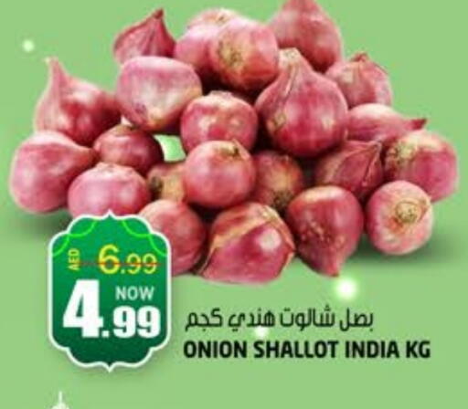 بصل from India available at هاشم هايبرماركت in الإمارات العربية المتحدة , الامارات - الشارقة / عجمان
