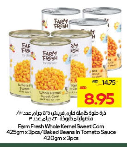 Tomato available at Megamart Supermarket  in UAE - Al Ain