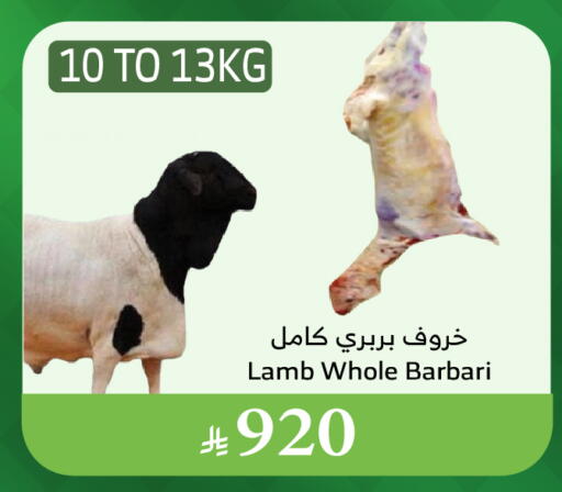 لحم الضأن / الغنم available at الراية in مملكة العربية السعودية, السعودية, سعودية - الطائف