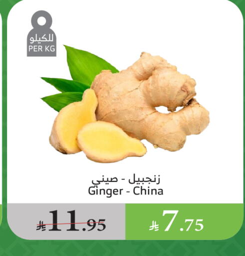 الخضروات الطازجة in الراية, المملكة العربية السعودية Offers - المملكة العربية السعودية زنجبيل from China available at الراية in مملكة العربية السعودية, السعودية, سعودية - بيشة