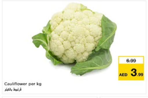 Cauliflower available at نستو هايبرماركت in الإمارات العربية المتحدة , الامارات - الشارقة / عجمان