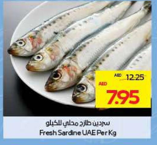 available at أدكووب in الإمارات العربية المتحدة , الامارات - ٱلْعَيْن‎
