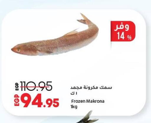 available at لولو هايبرماركت in Egypt - القاهرة