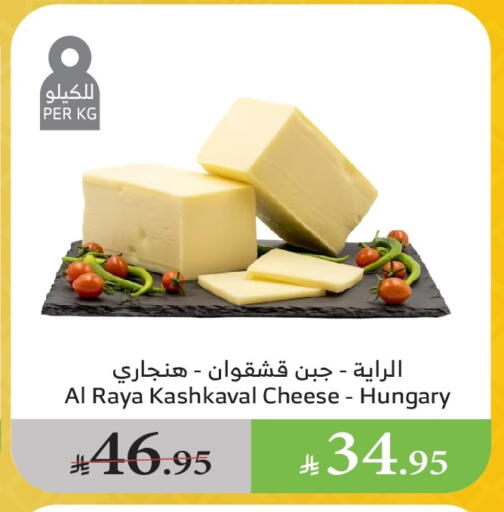 Cheese & Cream in Al Raya, Saudi Arabia Offers - Saudi Arabia available at Al Raya in KSA, Saudi Arabia, Saudi - Khamis Mushait