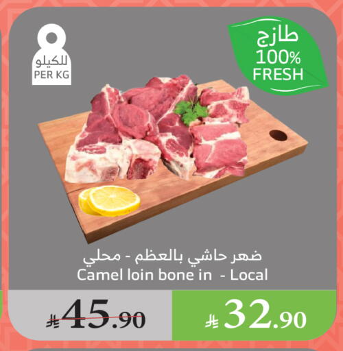 لحم حاشي available at الراية in مملكة العربية السعودية, السعودية, سعودية - الطائف