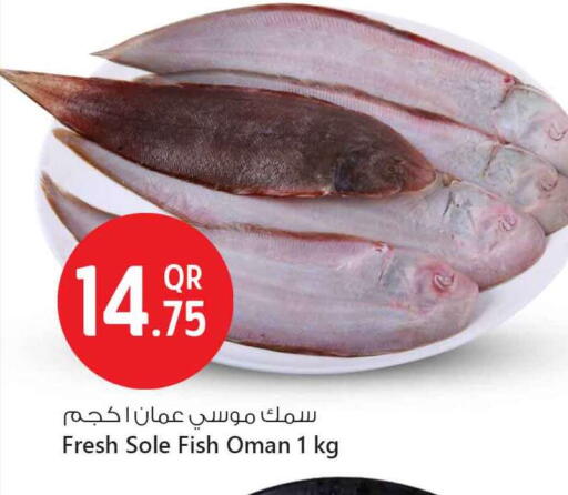 available at Safari Hypermarket in Qatar - Doha