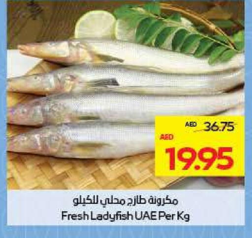 available at أدكووب in الإمارات العربية المتحدة , الامارات - ٱلْعَيْن‎
