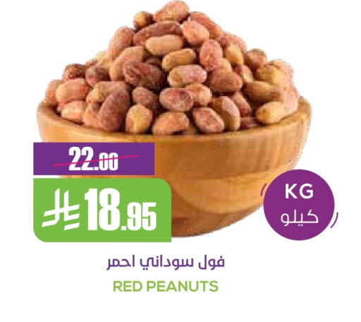 Dried Fruits & Dates in Sapt, Saudi Arabia Offers - Saudi Arabia available at Sapt in KSA, Saudi Arabia, Saudi - Buraidah