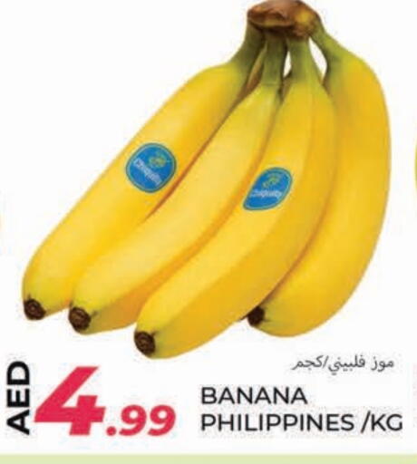 موز from Philippines available at  روابي ماركت عجمان in الإمارات العربية المتحدة , الامارات - الشارقة / عجمان