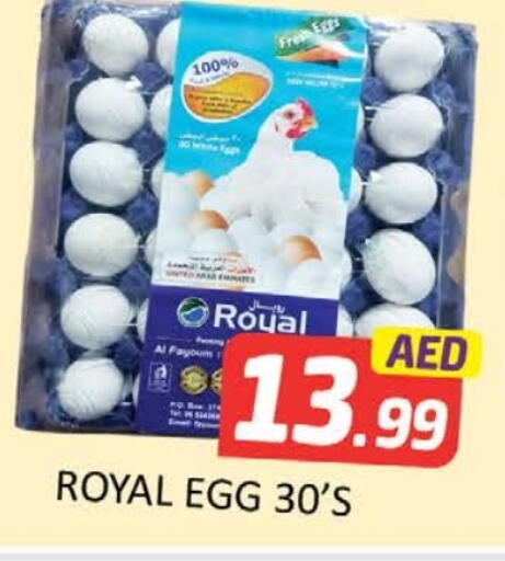 available at المدينة in الإمارات العربية المتحدة , الامارات - ٱلْفُجَيْرَة‎