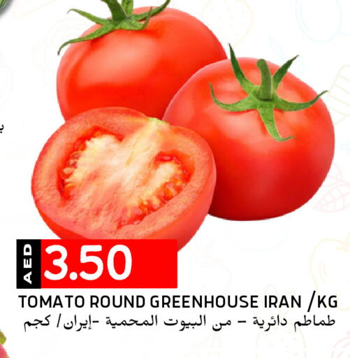 Tomato from Iran available at Select Market in UAE - Abu Dhabi