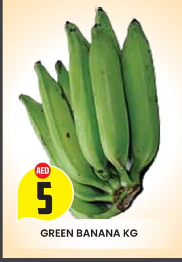 Banana available at سنابل بني ياس in الإمارات العربية المتحدة , الامارات - ٱلْعَيْن‎