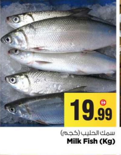 available at بيج مارت in الإمارات العربية المتحدة , الامارات - أبو ظبي