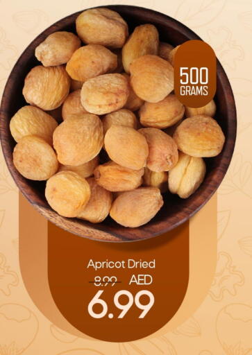 Apricot available at Mark & Save in UAE - Sharjah / Ajman