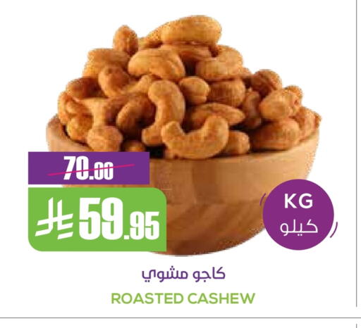 available at سبت in مملكة العربية السعودية, السعودية, سعودية - بريدة