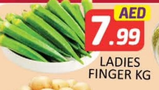 available at المدينة in الإمارات العربية المتحدة , الامارات - ٱلْعَيْن‎