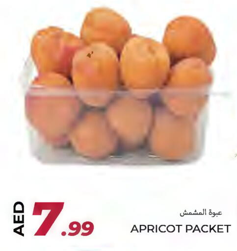 Apricot available at  روابي ماركت عجمان in الإمارات العربية المتحدة , الامارات - الشارقة / عجمان