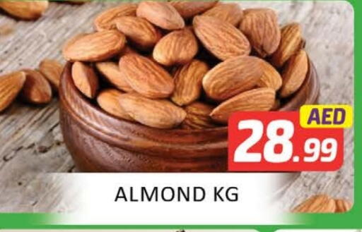 available at المدينة in الإمارات العربية المتحدة , الامارات - ٱلْعَيْن‎