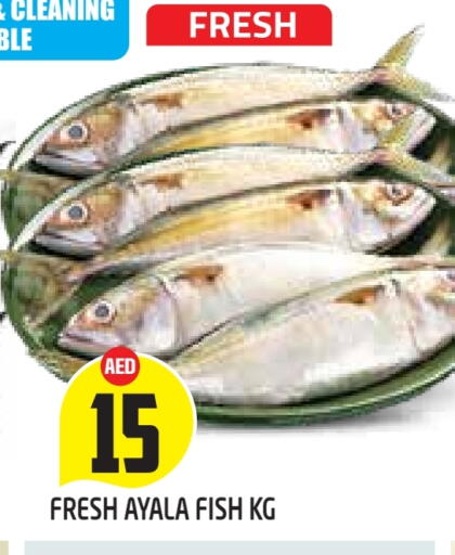 available at سنابل بني ياس in الإمارات العربية المتحدة , الامارات - ٱلْعَيْن‎