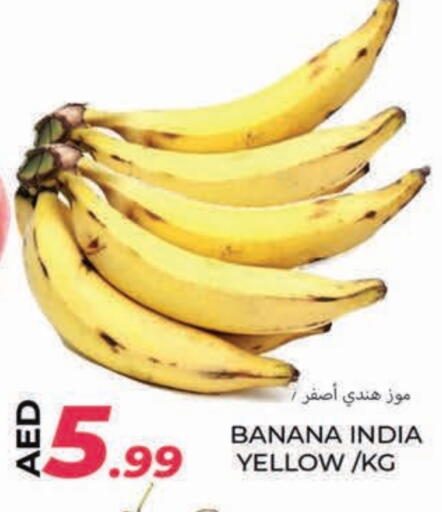 موز from India available at  روابي ماركت عجمان in الإمارات العربية المتحدة , الامارات - الشارقة / عجمان