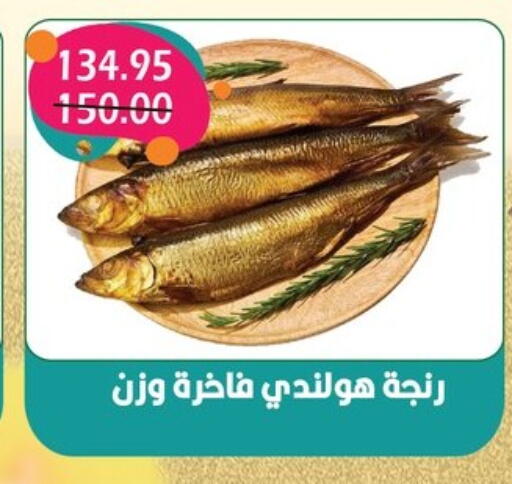 available at بشاير هايبرماركت in Egypt - القاهرة