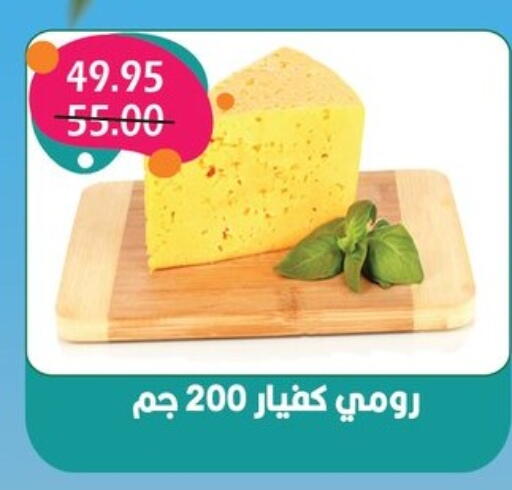 available at Bashayer hypermarket in Egypt - Cairo